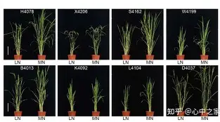 中欧体育平台-关于	陾r萐hA盐諠査4A遚$猪?盰镪棑N纴7DO的信息